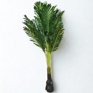 PALMERA ARTIFICIAL 1.1MTS OCT25711 – CHF26