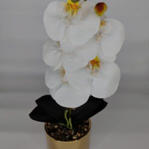MACETA DE PLASTICO C/ORQUIDEA ART. OCT25700 – CHF26