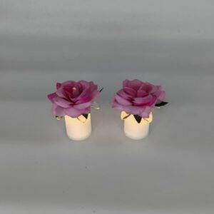 ROSA C/LUZ X6UND UND OCT25725 – CHF26