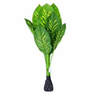 PLANTA ART. DIEFEMBAQUIA 1MTS OCT25705 – CHF26
