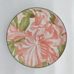 PLATO PLAYO DISEÑOS 25.5 CM- OCT25756-CHF26