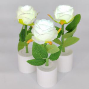 ROSA LUMINOSA LED 5X17CM COL/CLARO OCT25715 – CHF26
