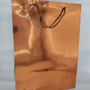 BOLSA P/REGALO 41.5X30X12CM OCT25081 – CHF26