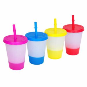 VASO PLAS. C/TAPA+SORBETE 450ML OCT251548 – CHF26