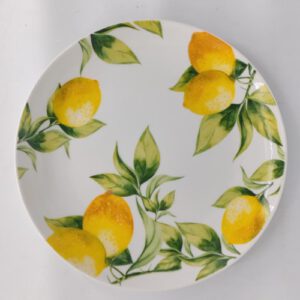 PLATO CER. 20.5CM OCT25819 – CHF26