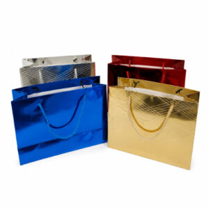 BOLSA DE REGALO BRILLOSO 23X18X10CM. – OCT251152 – CHM26