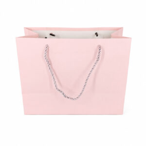 BOLSO DE REGALO COLOR LISO 23X18X10CM. – YC233S-6 – OCT251149 – CHM26