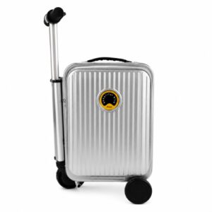 MALETA SCOOTER ELECTRICA PLATEADA BEAUTIFUL BIRD 20PULG.- OCT251180 – CHM26-3